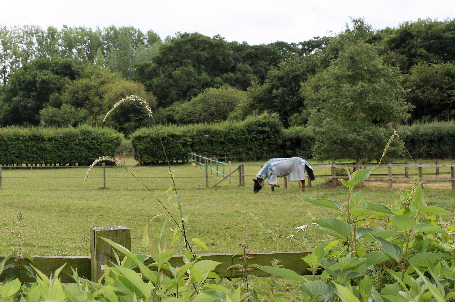 School Farm Equestrian